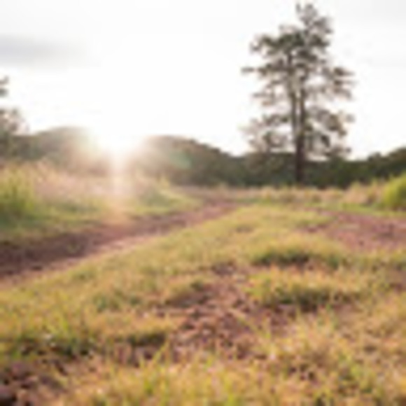 Meet your Posher, Staci - Picture 1 of 1